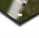 Red Fox with Butterfly Acrylic print