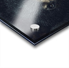 Wild Bear Futuristic Acrylic print