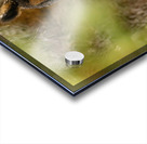 LEO Portrait Acrylic print