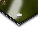 Flower Story Acrylic print