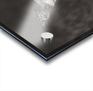 Red Fox with Butterfly BW Acrylic print