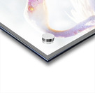 Wild Pink Flamingo Acrylic print