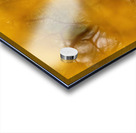 LEO Fall Time Acrylic print