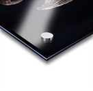 Cormorant Elegant Acrylic print