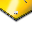 Hummingbird 4 Acrylic print