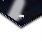 Double Cormorant Acrylic print