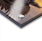 GGO 10 Acrylic print