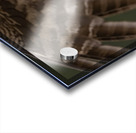 GGO 13 Acrylic print