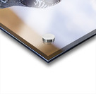 Spruce Grouse Acrylic print