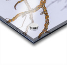 GGO 14 Acrylic print