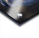 Blue Heron Acrylic print