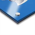 Snowy Owl Acrylic print