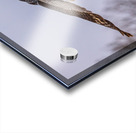 GGO 16 Acrylic print