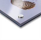 GGO 17 Acrylic print