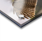 GGO 18 Acrylic print