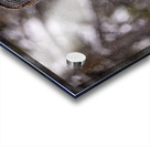 GGO 19 Acrylic print