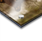 Cute Bear Cub Acrylic print