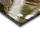 GHO Fall Time Acrylic print