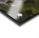 GGO 21 Acrylic print