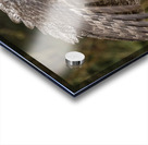 GGO 22 Acrylic print