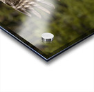 GGO 23 Acrylic print