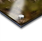 Saw Whet Owl 2 Acrylic print