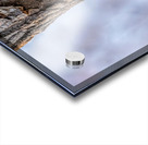 Screech Acrylic print