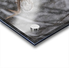 Deer Winter Love Acrylic print