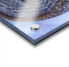 GGO 24 Acrylic print