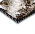 GHO Double Acrylic print