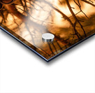 LEO Sunset Acrylic print