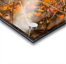 GGO 25 Acrylic print