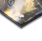 Young Buck Sunset Acrylic print