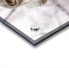 GHOwlet 2 Acrylic print