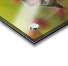 Hummer Acrylic print