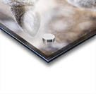 Cute Deer Acrylic print