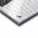 Big Buck 2 Acrylic print