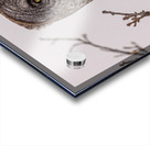 GGO 27 Acrylic print