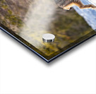 Lynx 3 Acrylic print