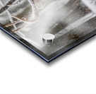 Buck Snowy Day Acrylic print