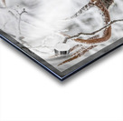 Big Buck Winter Acrylic print