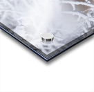 Deer Winter Wonder Acrylic print