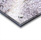 Buck Winter Day Acrylic print