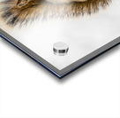 Red Squarel 2 Acrylic print