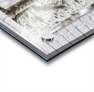 GGO 28 Acrylic print