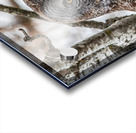 GGO 29 Acrylic print