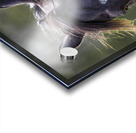 Horse Portrait Acrylic print