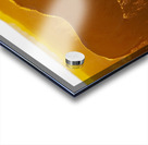 Horse Sunset Acrylic print