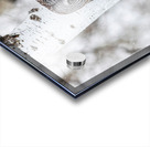 GGO 33 Acrylic print