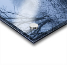 Horse Farm Acrylic print